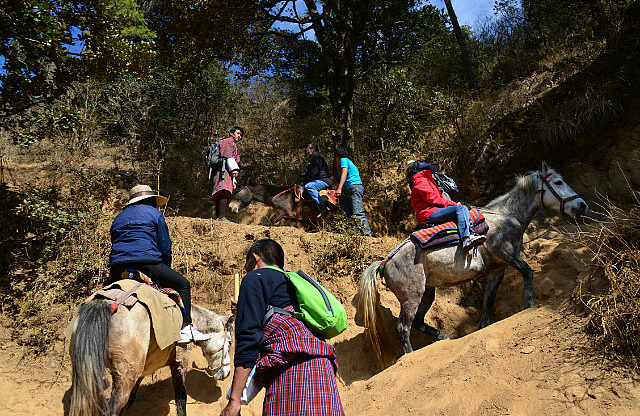 6.1387493954.trudging-along-on-ponies