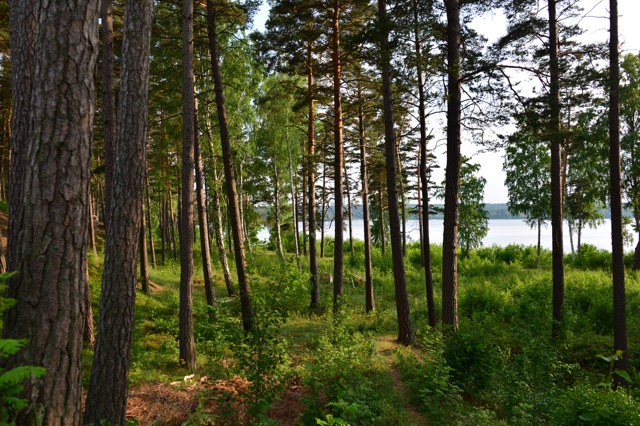 1.1371772800.eker-246-island