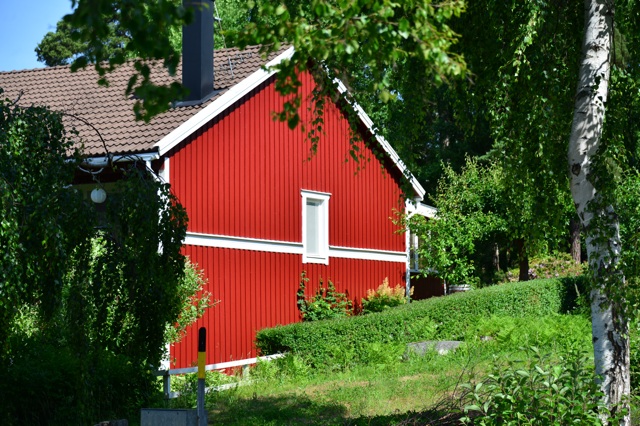 1.1371772800.falun-red-home
