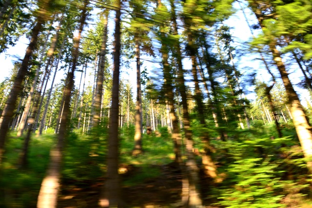 1.1372896000.speeding-through-the-mountain-roads