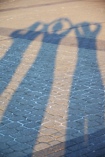 1.1373157200.the-3s-s