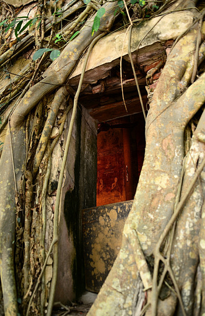 3.1385343574.wat-bang-kung---the-banyan-tree-temple