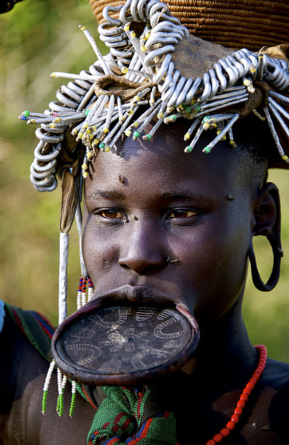 5.1386115200.lip-plate-and-flies