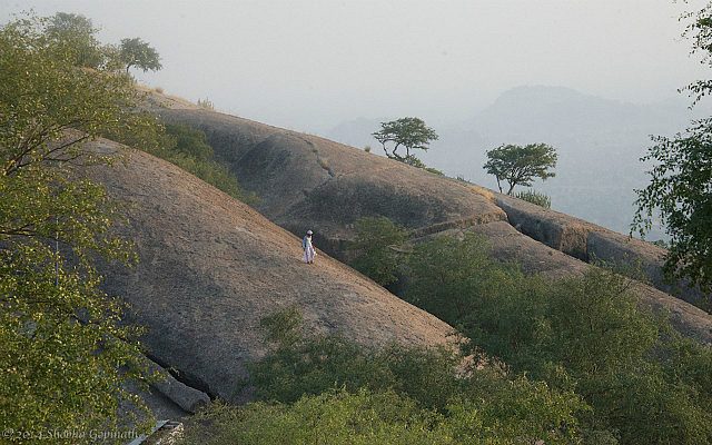 7.1415318906.the-shiva-rock