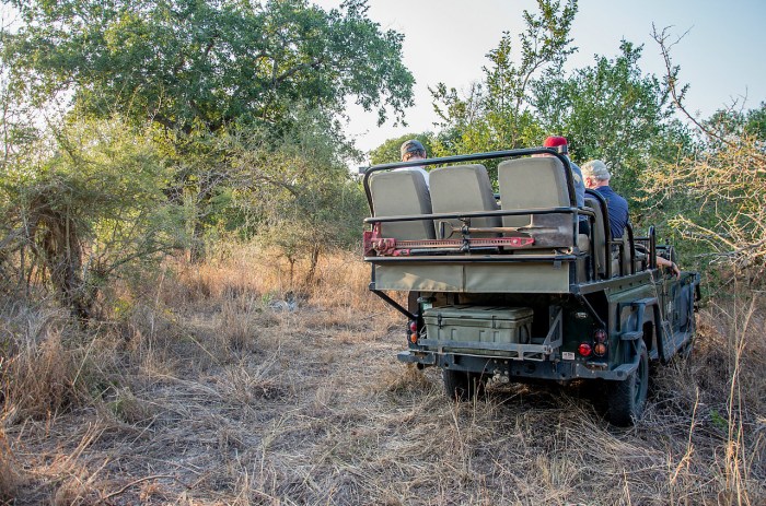 9.1437581996.open-vehicle-and-proximity-to-leopard