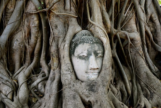 large.wimg.3.skg_6487